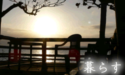 暮らす～やんばる（ヤンバル）の過ごし方