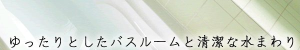 ゆったりとしたバスルームと清潔な水まわり